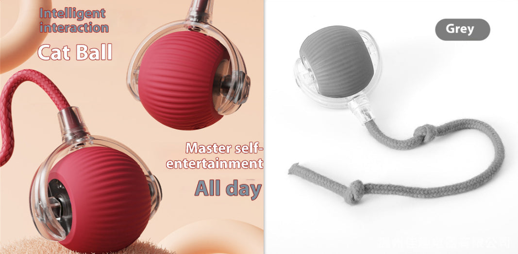 Electric Cat Toy Automatic Cat Ball Self-entertainment Rolling Ball Pets Fashion