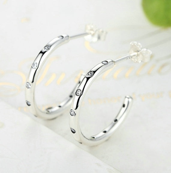 Simple classic zircon s925 silver earrings LadyShow.Store