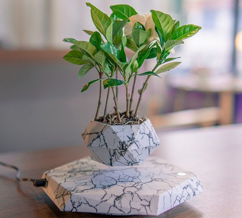 Floating Magnetic Plant Pot PearlNestDecor.com