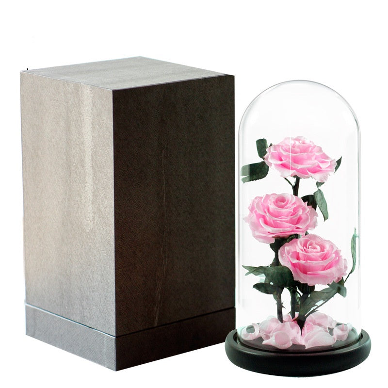 Double Preserved Flower Rose Valentine's Day Gift LadyShow.Store