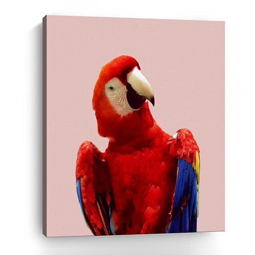 Vibrant And Vivid Bird Unframed Print Wall Art LuxuryLifeWay Online Store