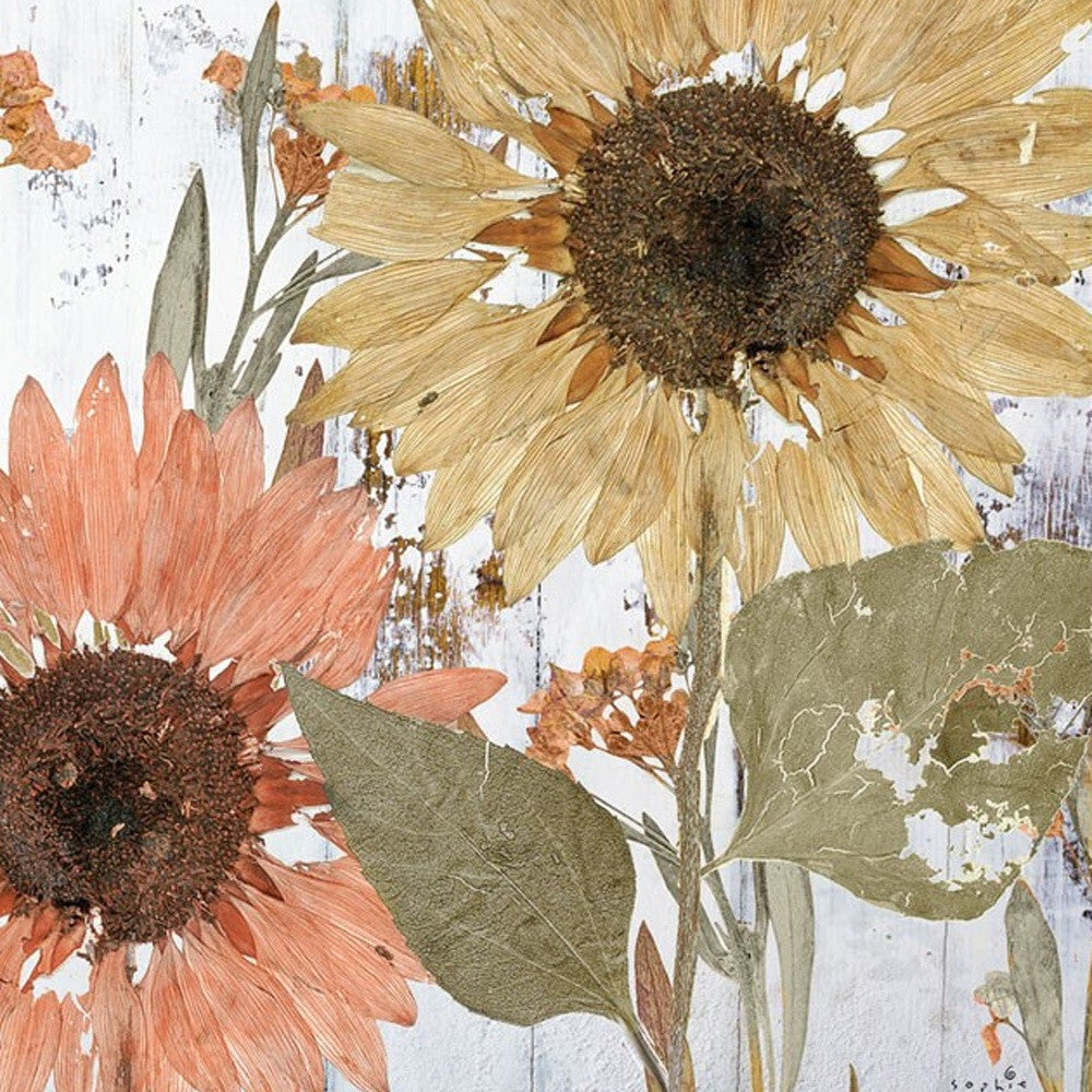 Set Of Two Earth to Petals 2 White Framed Print Wall Art LuxuryLifeWay Online Store
