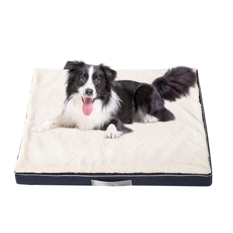 FAOLONE Memory Foam Dog Bed for Extra Large Dogs Washable Dog BedsOrthopedic Waterproof Large Dog Bed with Washable Removable Cover (M White Blue) Best YouTube Store