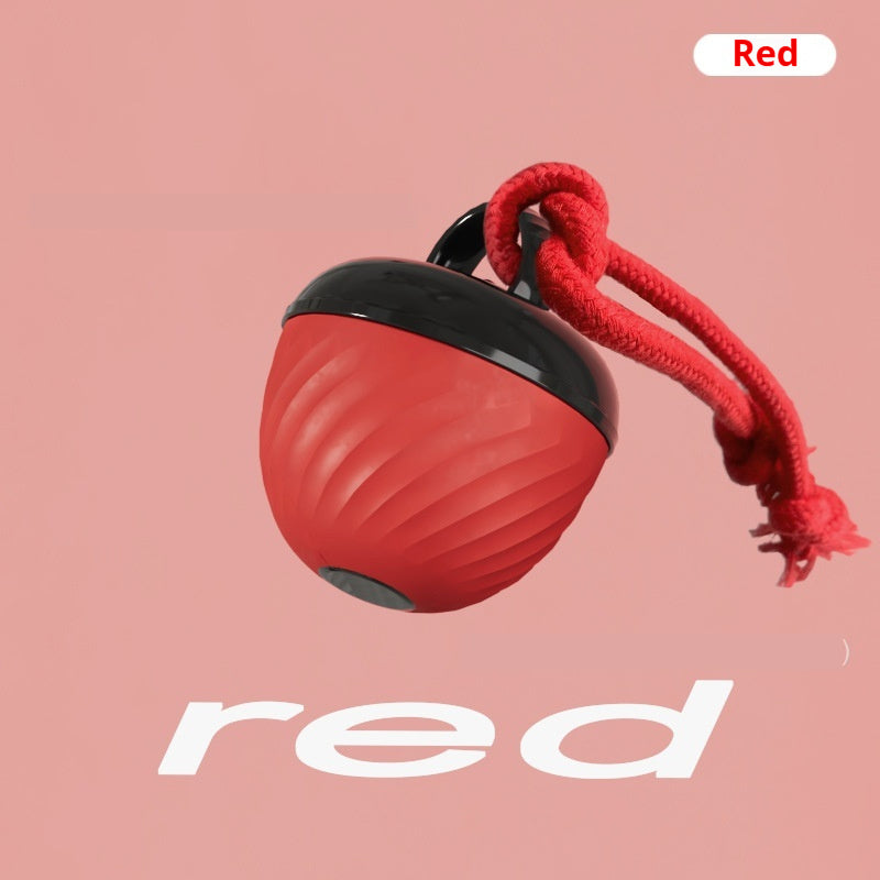 Smart, Chew-resistant Dog Toy Ball To Keep Your Pup Entertained And Help Soothe Teething Discomfort Best YouTube Store