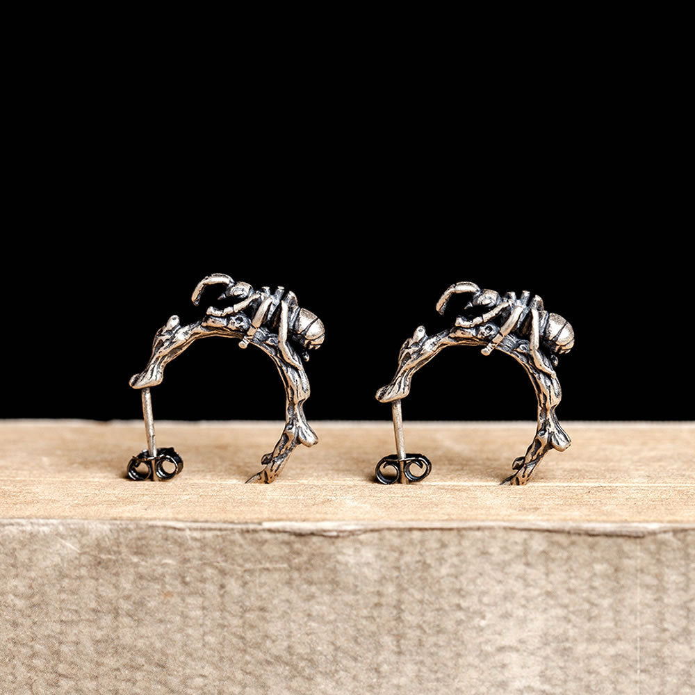 S925 Sterling Silver Stud Earrings LadyShow.Store