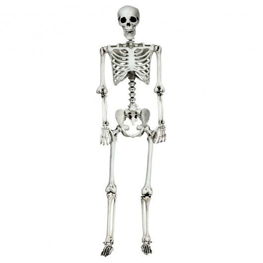 5.4 Feet Halloween Skeleton Life Size Realistic Full Body Hanging LuxuryLifeWay Online Store