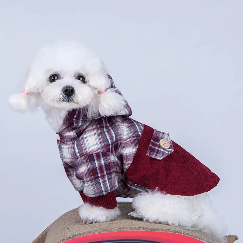 Teddy VIP Pomeranian Small Dog Cashmere Coat Best YouTube Store