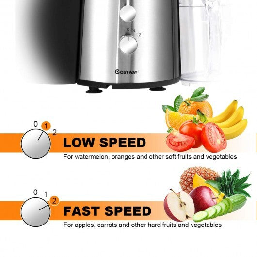 2 Speed Electric Juice Press for Fruit and Vegetable LuxuryLifeWay Online Store