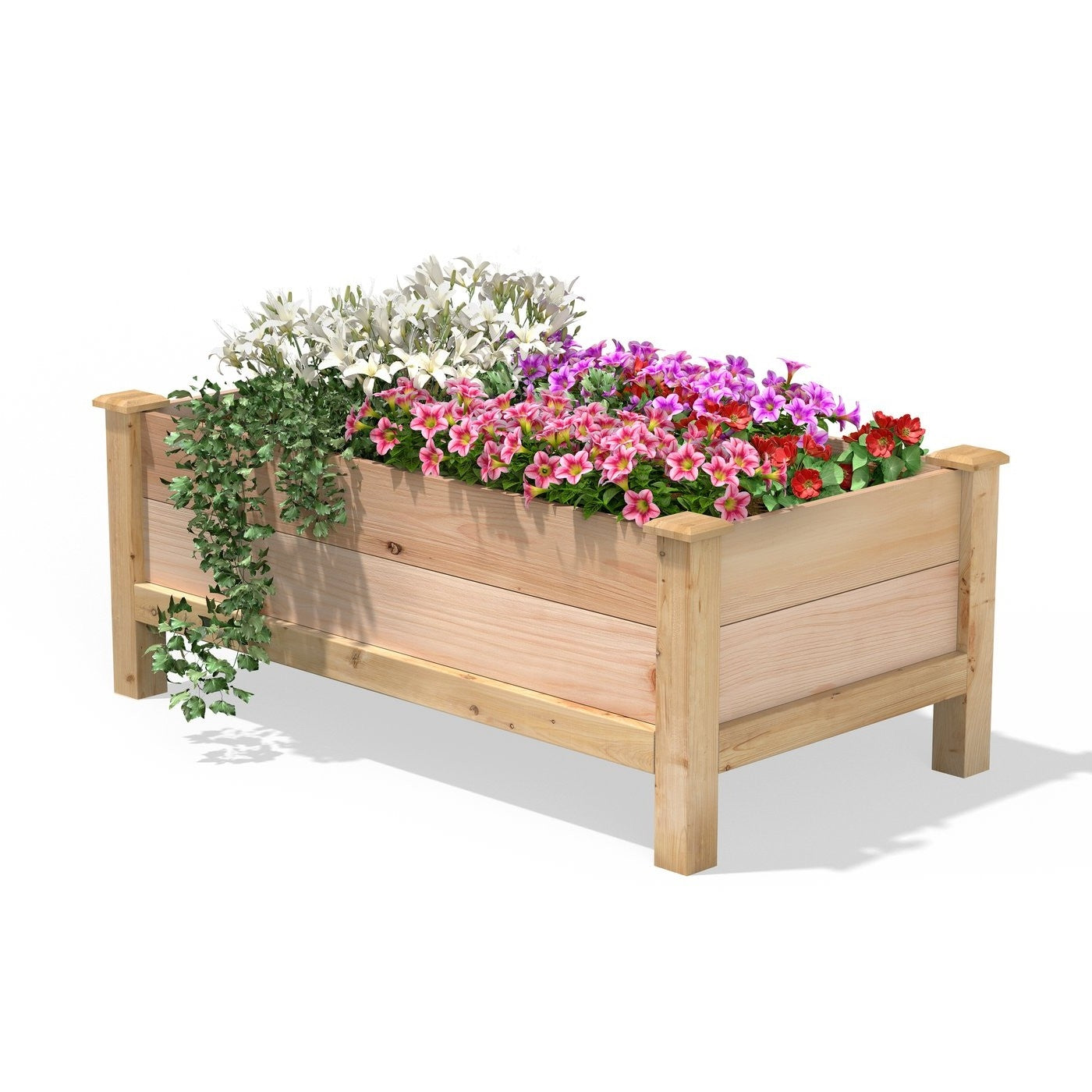 Farmhouse 24-in x 48-in x 19-in Cedar Elevated Victory Garden Bed - Made in USA LuxuryLifeWay Online Store