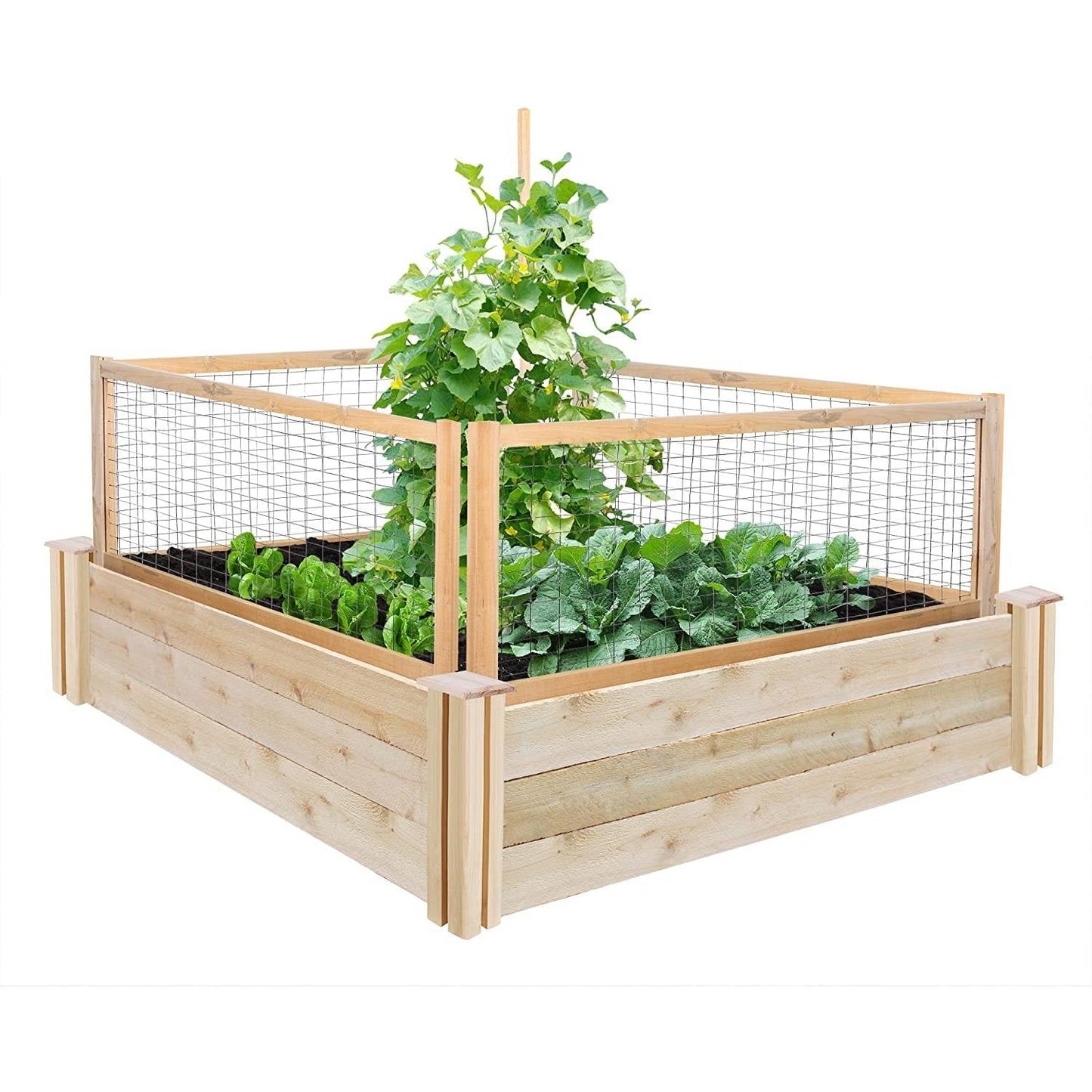 4 Pack Cedar Garden Trellis Set - 45 x 23.5 inch Each - Made in USA LuxuryLifeWay Online Store