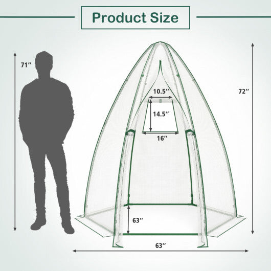 5.5 x 5.5 x 6 Feet Portable Mini Greenhouse with All-Weather PE Cover LuxuryLifeWay Online Store