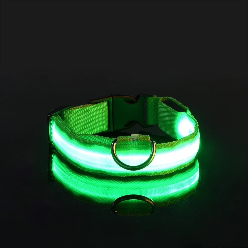 Nylon LED Night Safety Flashing Glow In The Dark Dog Leash Dogs Luminous Fluorescent Pet Dog Collar Pi-Mart