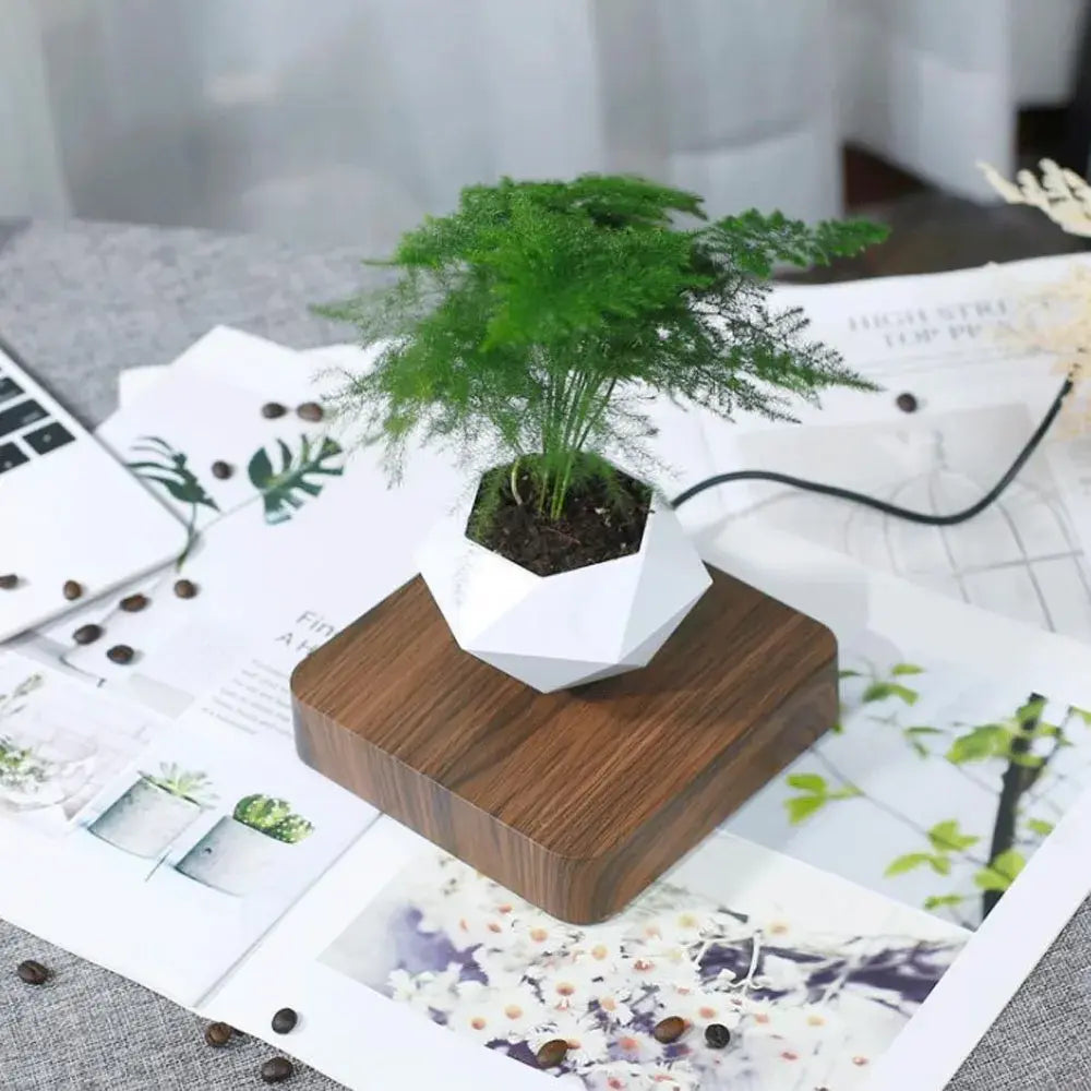 Levitating Air Bonsai Pot Rotation Flower Pot Planters Home Decor