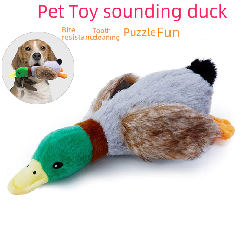 Quack Play Plush Dog Toy