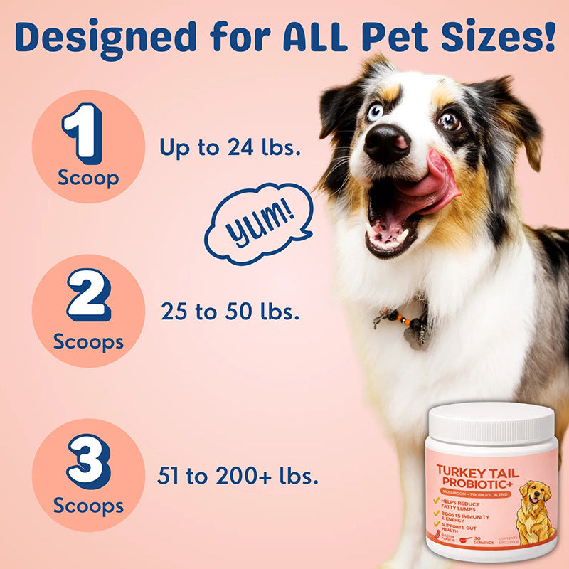 Pet Turkey Tail Mushroom Powder Pets Fashion
