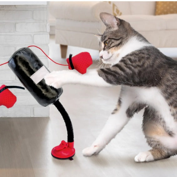 Portable Cat Punching Bag Toy Interactive Indoor Cats Kitten Toy With Gloves Cat Toy For Kitten Pet Cat Supplies Pets Products Pets Fashion