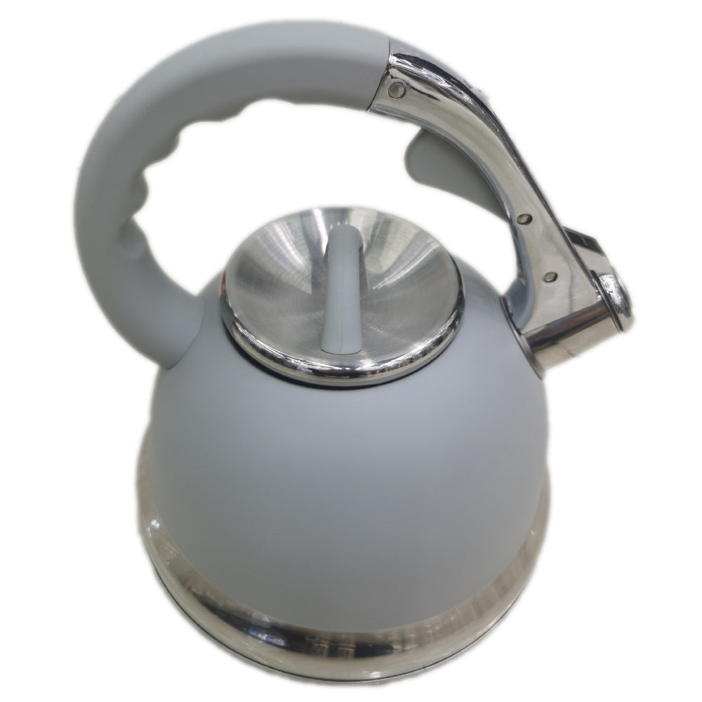 Household Color Matching Stainless Steel Whistle Kettle PearlNestDecor.com