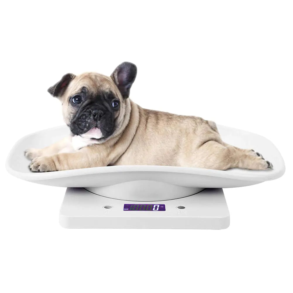 Small Pet Scale for cat and Dog Baby Scale 10kg/1g Digital Small Pet Weight Scale Multi-Function Baby Scale for Small pet Hatching and Food Weighing Measure Tool Electronic Kitchen Scale