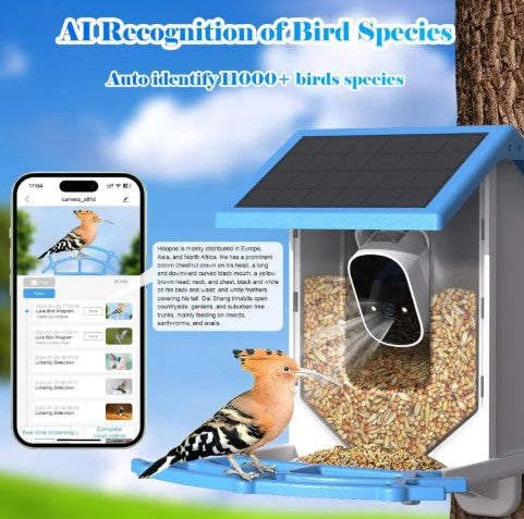 Solar Bird Feeder With Camera Best YouTube Store