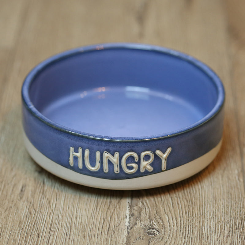 Making Old Pet Ceramic Bowls Pets Fashion