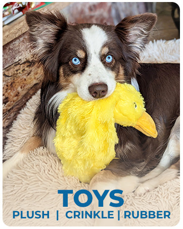 Best Pet Supplies Interactive Squeaky Dog Toy - Crinkle Duck, Yellow  Stuffing-Free Or Stuffed Body, Soft, Squeaks & Crinkles, No Mess, Perfect For Moderate Chewers, Toss And Fetch Play Pets Fashion