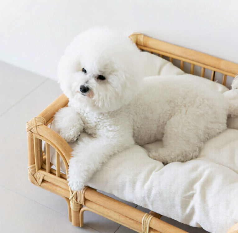 Natural Rattan Square Dog Bed Minimalist Handmade Pet Bed Pets Fashion