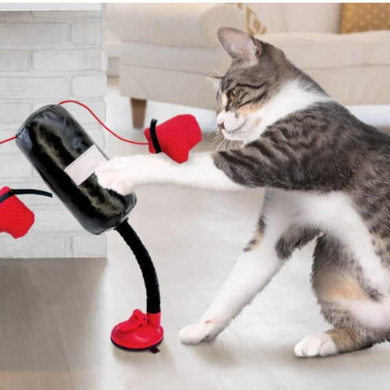 Portable Cat Punching Bag Toy Pi-Mart