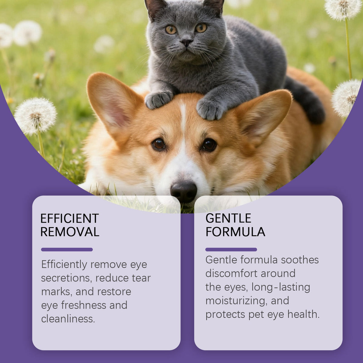 Pet Eye Drops Gently Care For Cats And Dogs' Eye Tear Stains, Tear Marks, And Eye Discharge Pets Fashion