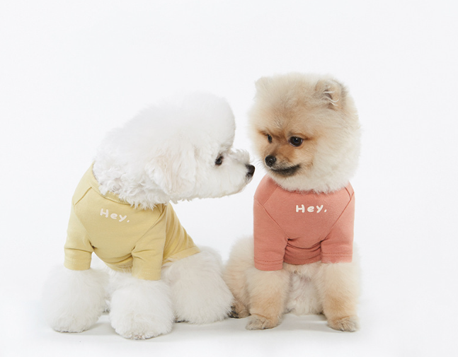 Casual Simple Printed T-Shirt for Pets Pi-Mart