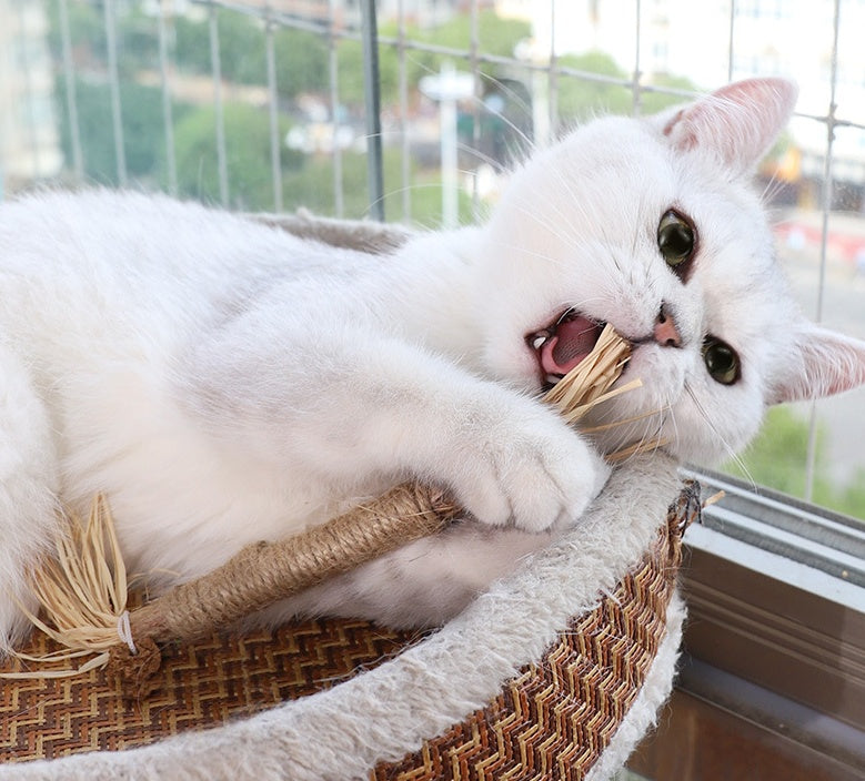 Wooden Polygonum Molar Stick Cat Toy Tooth Cleaning Kitten Bite-resistant Catnip Teasing Snacks Pets Fashion