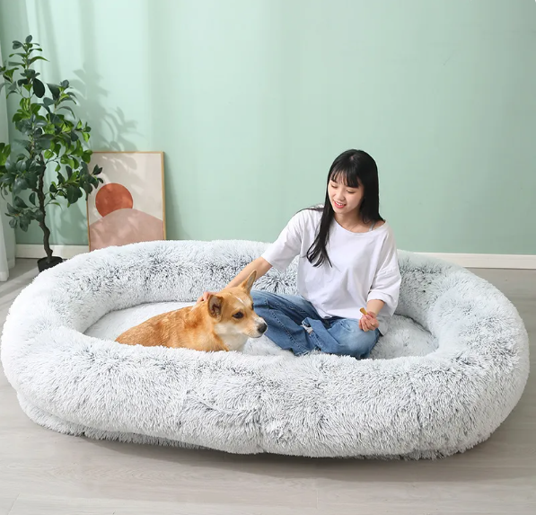 Human-sized Washable and Removable Dog Bed Best YouTube Store