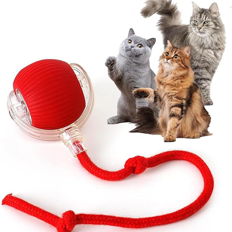 Cat Interactive Ball Toys Automatic Rolling Ball For Kitten Rechargeable Smart Pet Electric Toys With Teaser Sensor Cat Ball Toy LadyShow.Store