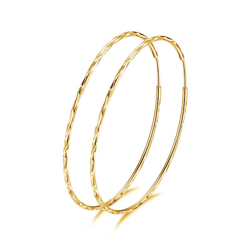 925 Sterling Silver Circle Endless Hoop Earrings as Gifts for Women LadyShow.Store