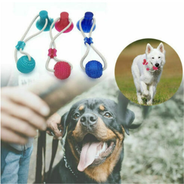 Dog Biting Sucker Multifunction Pet Molar Bite Toy Pets Fashion