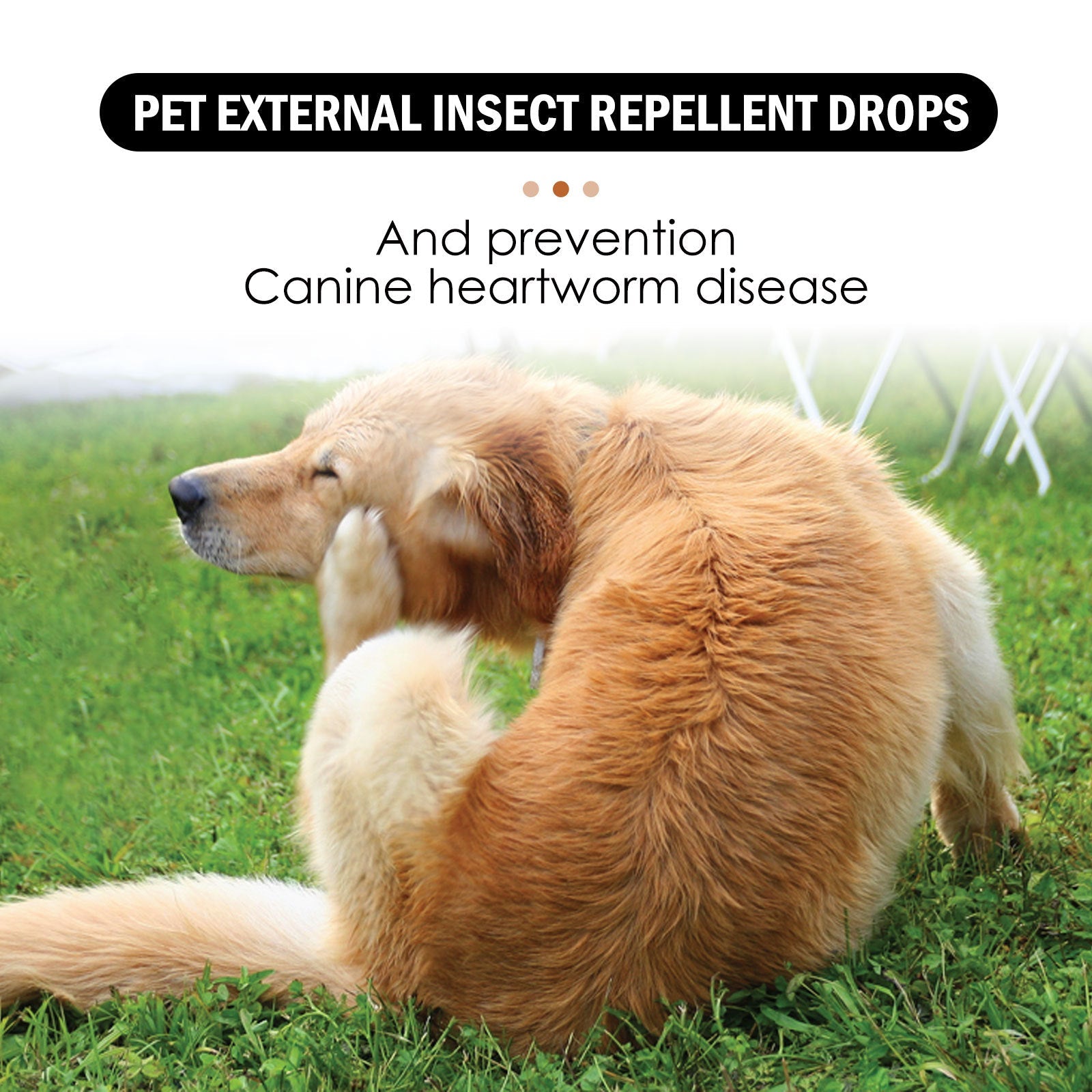 Dog Cat Drops Spray Cleaning Remove Lice Tick Flea LadyShow.Store