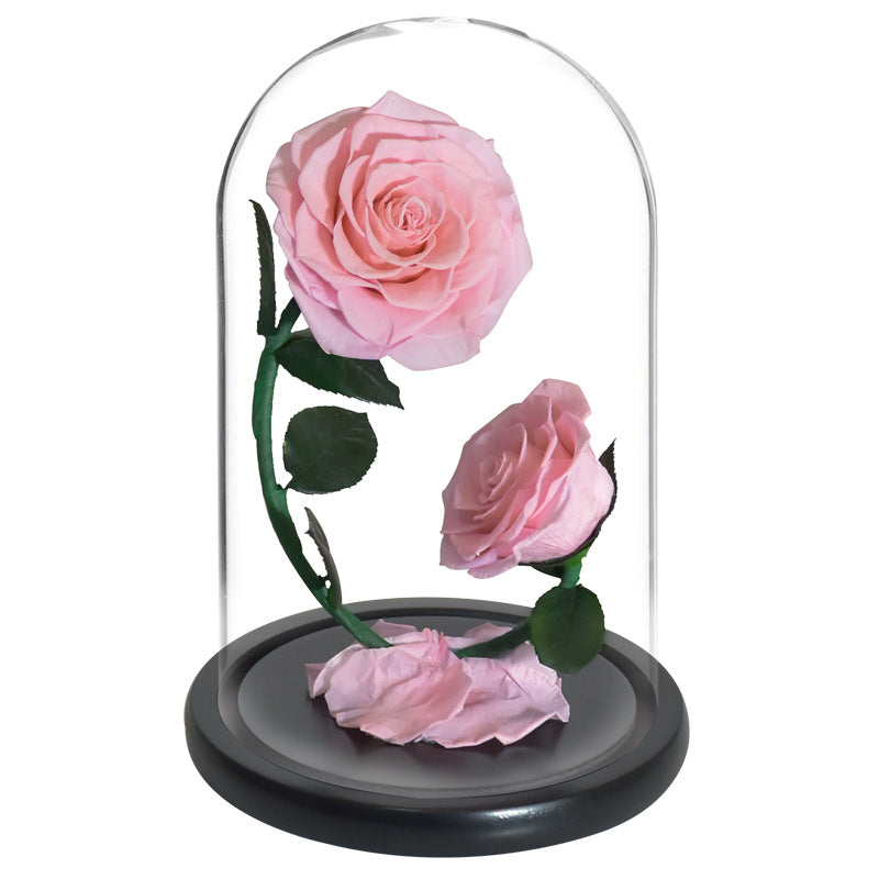 Double Preserved Flower Rose Valentine's Day Gift LadyShow.Store