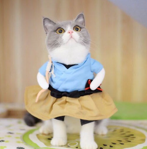 Funny  Costume Uniform Suit Party Clothing For Cat Cosplay Clothes Pets Fashion