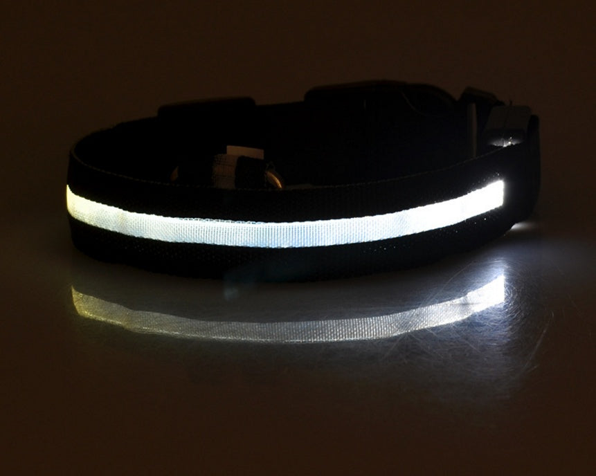 Dog Luminous Collar Pets Fashion