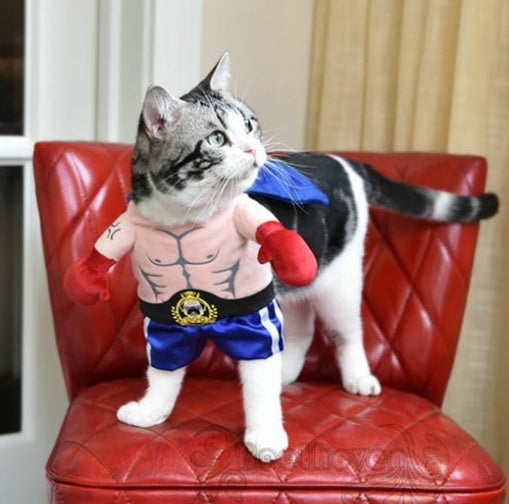Boxer Cat Costume Pets Fashion