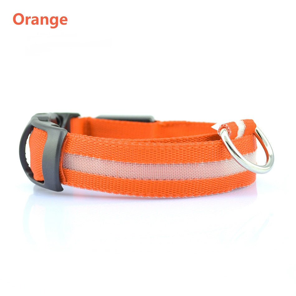Safety Dog LED Collar Pets Fashion