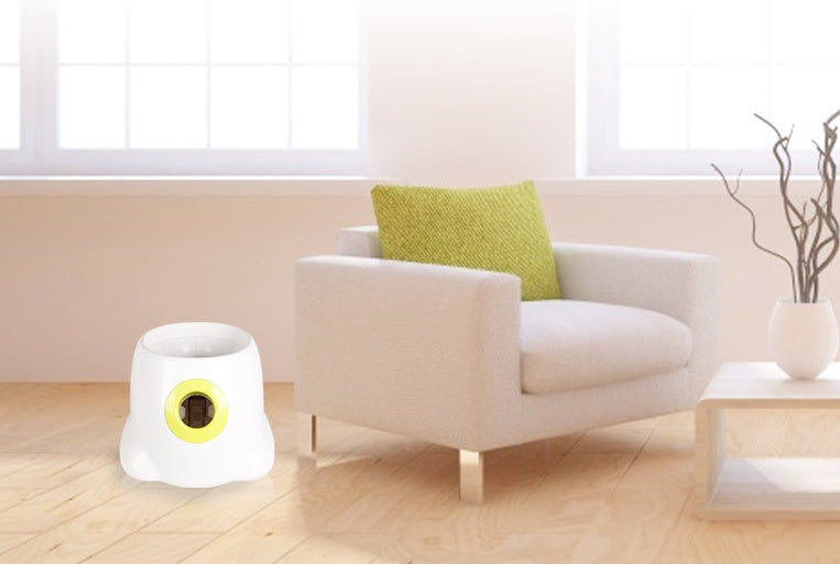 Dog Pet Automatic Interactive Ball Launcher Pets Fashion