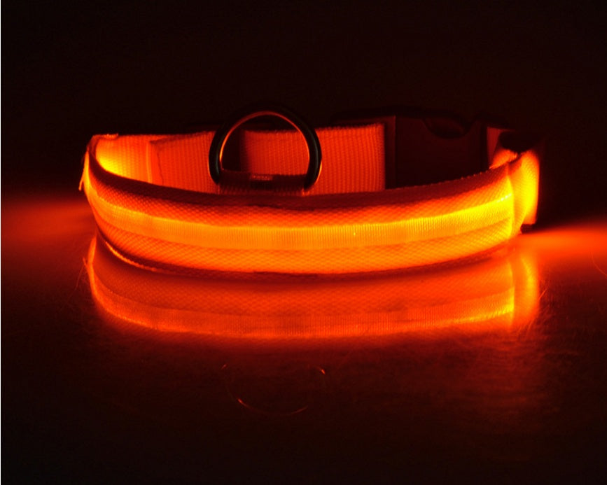 Dog Luminous Collar Pets Fashion