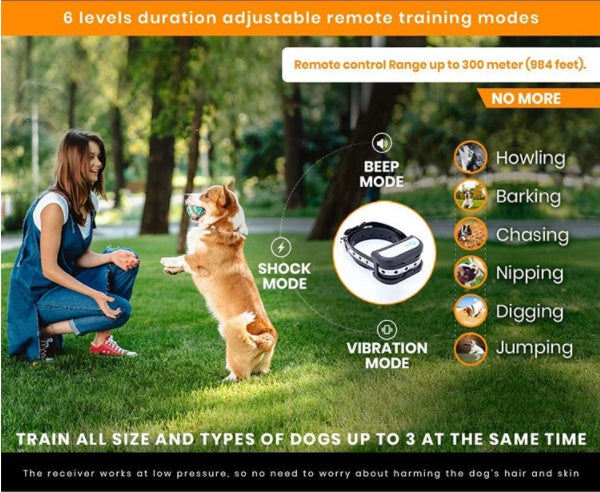 Electric Dog Fence Pets Fashion