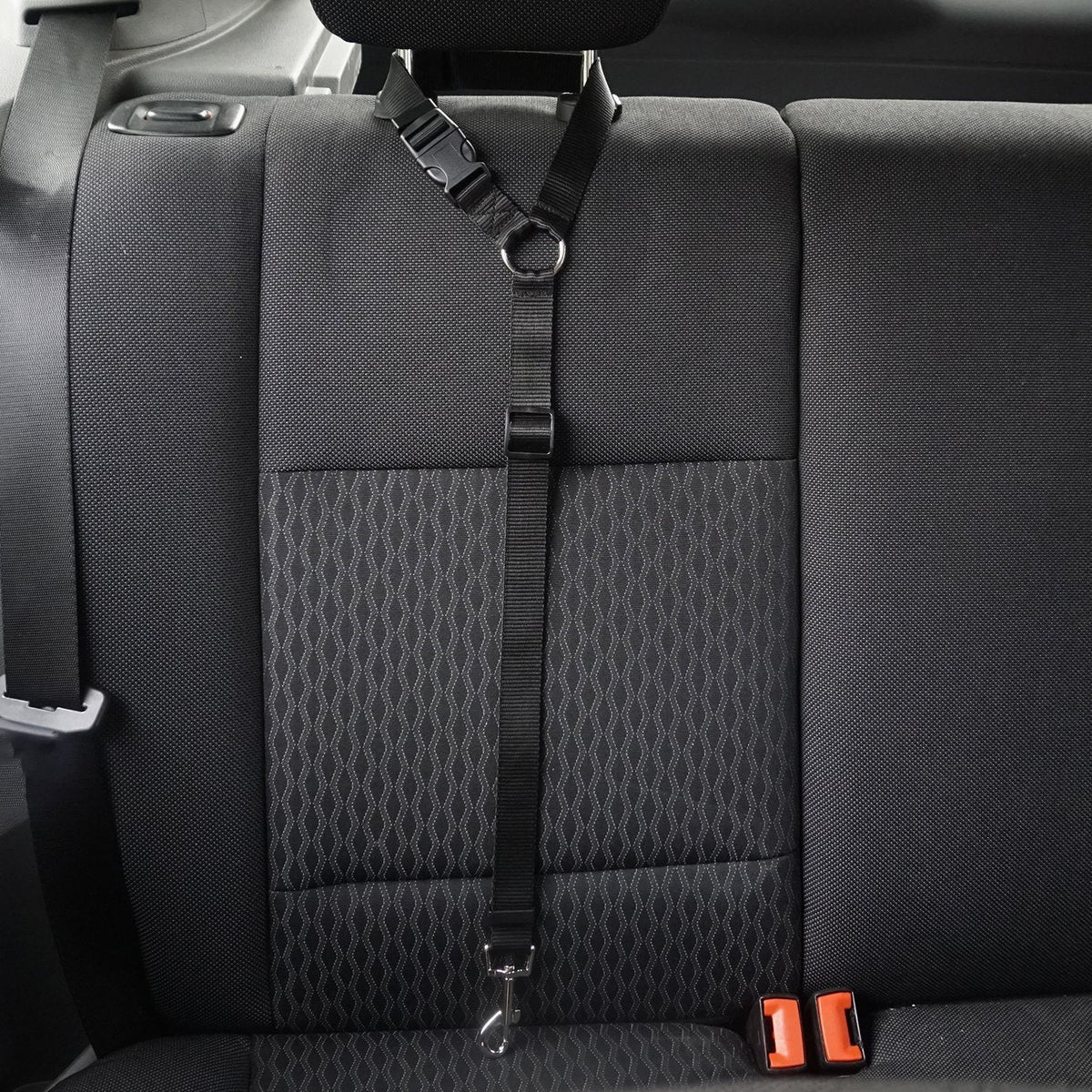 Pet safety leash Pets Fashion
