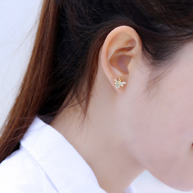 S925 silver pin with zircon earrings LadyShow.Store