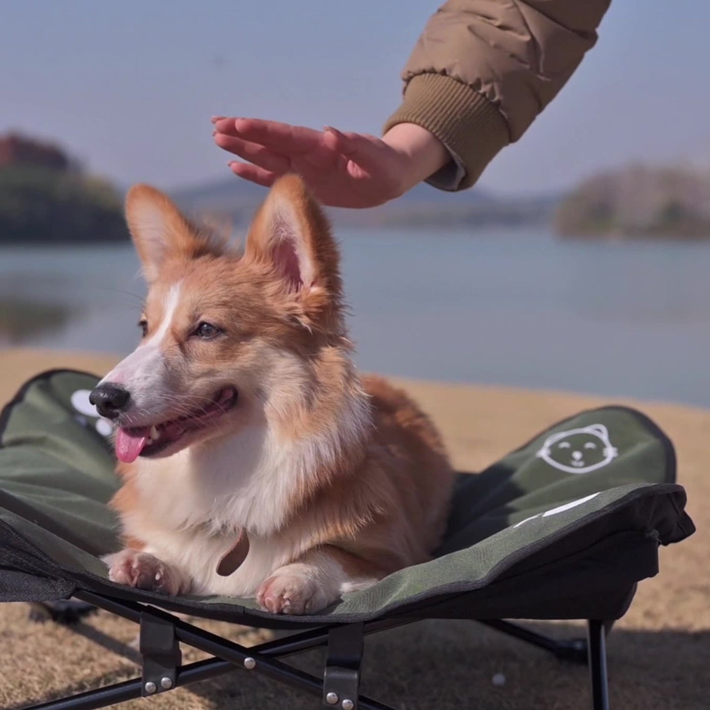 Outdoor detachable and washable pet folding bed Pets Fashion