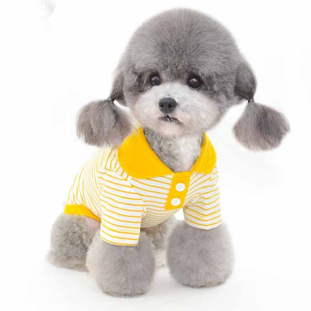 Clothes For Pets Pets Fashion