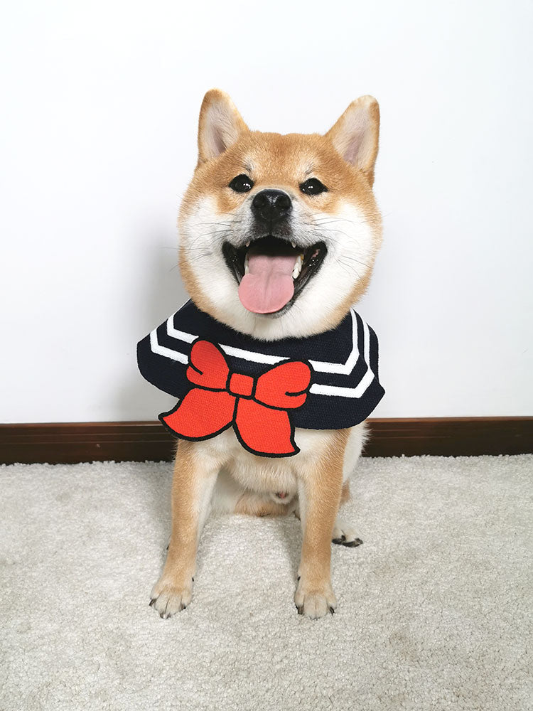 Pet collar Pets Fashion