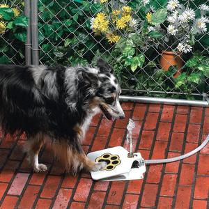 Outdoor Dog Pet Water Fountain Pets Fashion