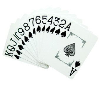 PokerClub Plastic Cards LadyShow.Store